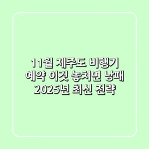 11월 제주도 비행기 예약, '이것' 놓치면 낭패! 2025년 최신 전략