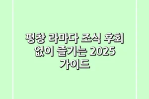 평창 라마다 조식, 후회 없이 즐기는 2025 가이드