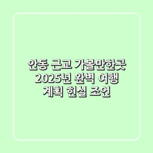 안동 근교 가볼만한곳, 2025년 완벽 여행 계획 현실 조언