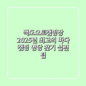 백도오토캠핑장, 2025년 최고의 바다 캠핑 명당 찾기 (실전 팁)