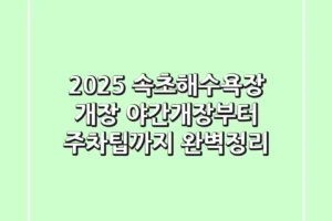 2025 속초해수욕장 개장, 야간개장부터 주차팁까지 완벽정리