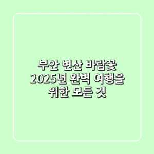 부안 변산 바람꽃: 2025년 완벽 여행을 위한 모든 것