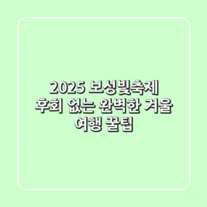 2025 보성빛축제: 후회 없는 완벽한 겨울 여행 꿀팁