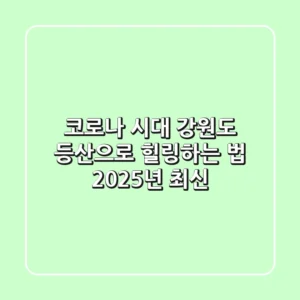 코로나 시대, 강원도 등산으로 힐링하는 법 (2025년 최신)