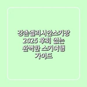 강촌엘리시안스키장 2025, 후회 없는 완벽한 스키여행 가이드!