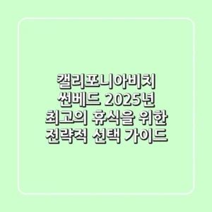 캘리포니아비치 썬베드, 2025년 최고의 휴식을 위한 전략적 선택 가이드