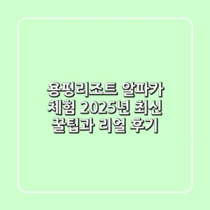 용평리조트 알파카 체험: 2025년 최신 꿀팁과 리얼 후기