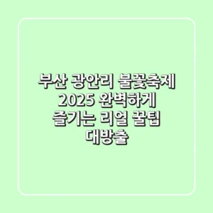 부산 광안리 불꽃축제 2025: 완벽하게 즐기는 리얼 꿀팁 대방출