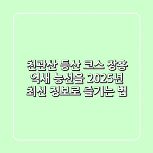 천관산 등산 코스, 장흥 억새 능선을 2025년 최신 정보로 즐기는 법