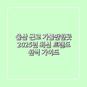 울산 근교 가볼만한곳, 2025년 최신 트렌드 완벽 가이드