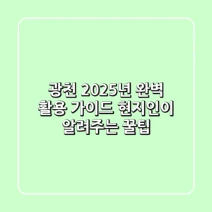 광천, 2025년 완벽 활용 가이드: 현지인이 알려주는 꿀팁