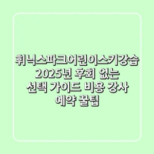 휘닉스파크어린이스키강습 2025년 후회 없는 선택 가이드: 비용, 강사, 예약 꿀팁