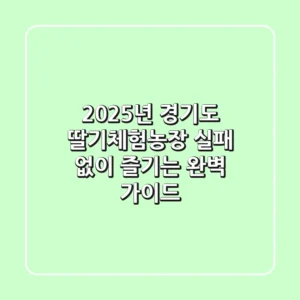 2025년 경기도 딸기체험농장: 실패 없이 즐기는 완벽 가이드