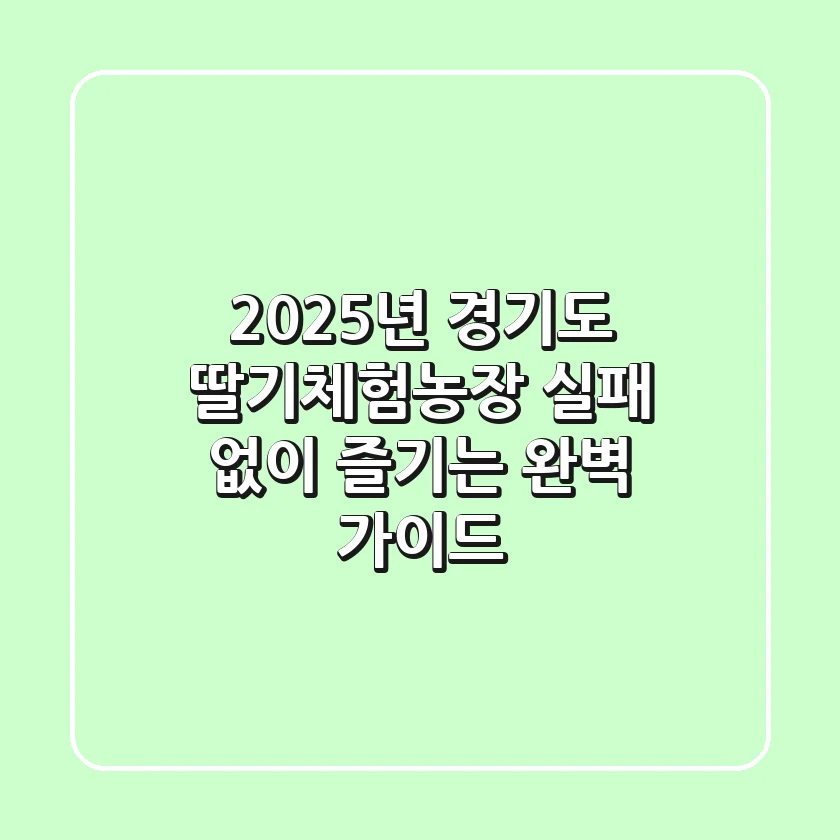 2025년 경기도 딸기체험농장: 실패 없이 즐기는 완벽 가이드