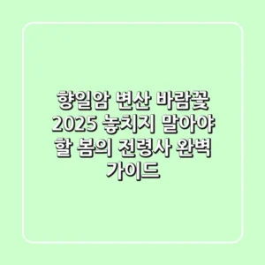 향일암 변산 바람꽃 2025: 놓치지 말아야 할 봄의 전령사 완벽 가이드