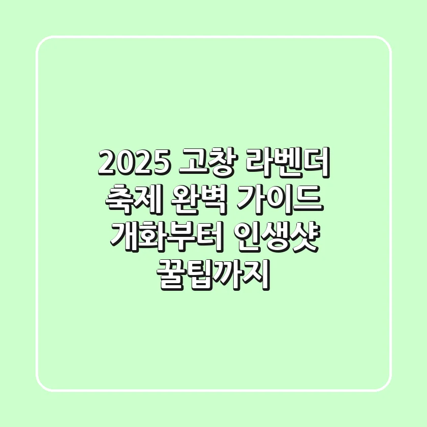2025 고창 라벤더 축제 완벽 가이드: 개화부터 인생샷 꿀팁까지!