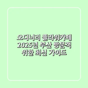 오디너리 플라워카페, 2025년 부산 방문객 위한 최신 가이드