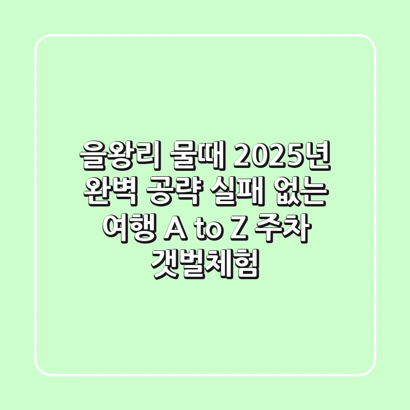 을왕리 물때 2025년 완벽 공략: 실패 없는 여행 A to Z (주차, 갯벌체험)