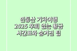 민둥산 기차여행 2025: 후회 없는 황금 시간표와 숨겨진 팁