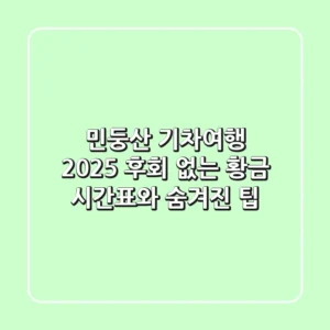 민둥산 기차여행 2025: 후회 없는 황금 시간표와 숨겨진 팁