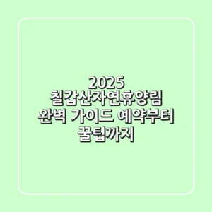 2025 칠갑산자연휴양림 완벽 가이드: 예약부터 꿀팁까지