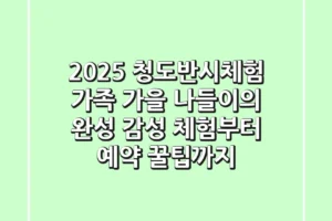 2025 청도반시체험: 가족 가을 나들이의 완성, 감성 체험부터 예약 꿀팁까지!