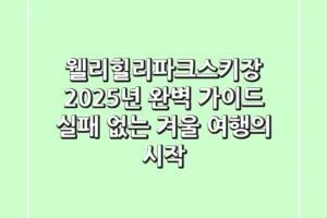 웰리힐리파크스키장, 2025년 완벽 가이드: 실패 없는 겨울 여행의 시작