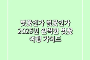 벗꽃인가 벚꽃인가? 2025년 완벽한 벗꽃 여행 가이드