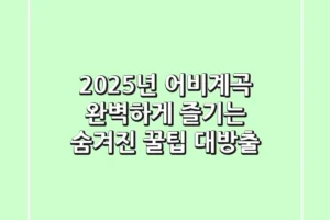 2025년 어비계곡, 완벽하게 즐기는 숨겨진 꿀팁 대방출!