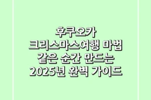 후쿠오카 크리스마스여행, 마법 같은 순간 만드는 2025년 완벽 가이드