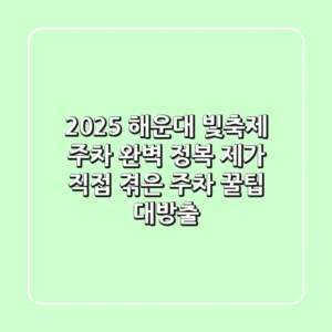 2025 해운대 빛축제 주차, 완벽 정복! 제가 직접 겪은 주차 꿀팁 대방출