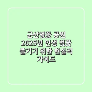 군산벚꽃 공원, 2025년 인생 벚꽃 즐기기 위한 현실적 가이드