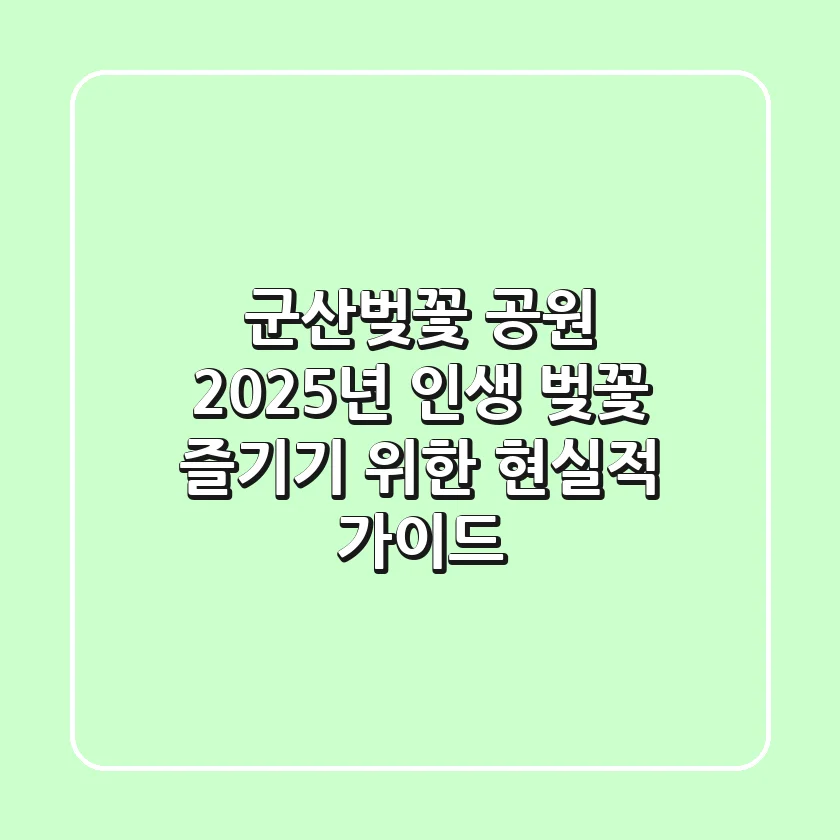 군산벚꽃 공원, 2025년 인생 벚꽃 즐기기 위한 현실적 가이드