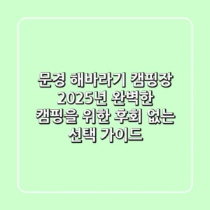 문경 해바라기 캠핑장: 2025년 완벽한 캠핑을 위한 후회 없는 선택 가이드