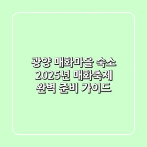 광양 매화마을 숙소, 2025년 매화축제 완벽 준비 가이드