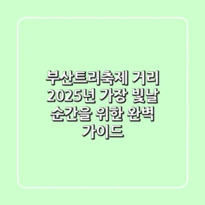 부산트리축제 거리, 2025년 가장 빛날 순간을 위한 완벽 가이드