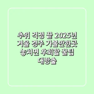 추위 걱정 끝! 2025년 겨울 경주 가볼만한곳, 놓치면 후회할 꿀팁 대방출