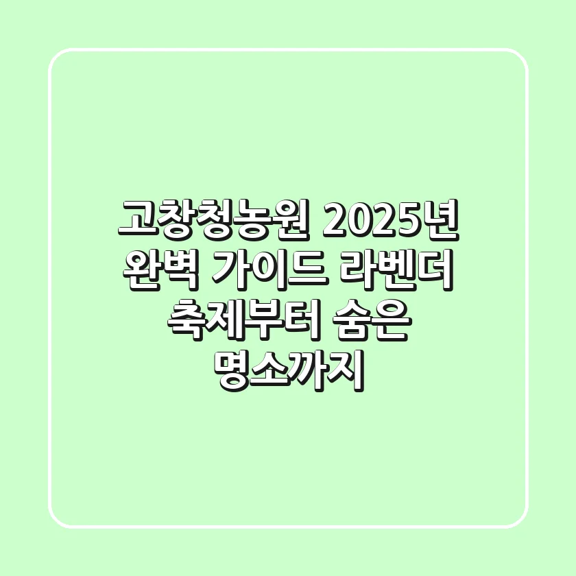 고창청농원 2025년 완벽 가이드: 라벤더 축제부터 숨은 명소까지