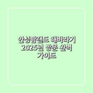 안성팜랜드 해바라기, 2025년 방문 완벽 가이드!