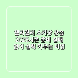 웰리힐리 스키장 강습, 2025시즌 준비! 실패 없이 실력 키우는 비법