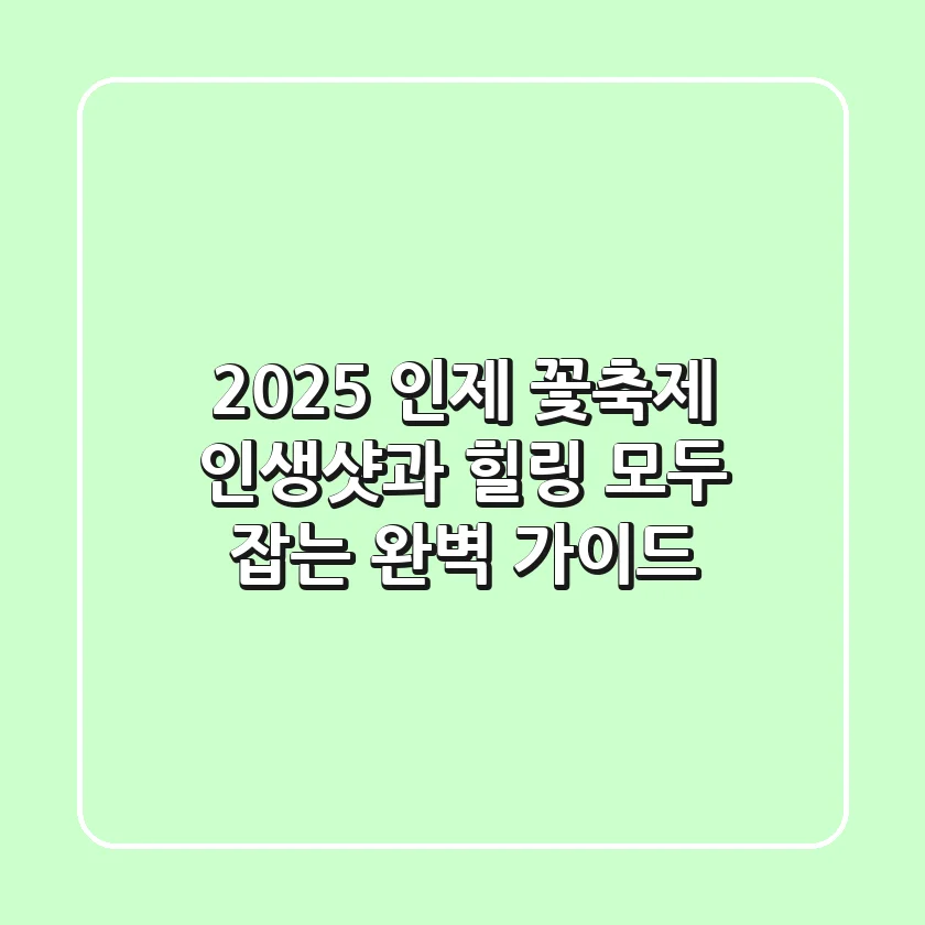 2025 인제 꽃축제, 인생샷과 힐링 모두 잡는 완벽 가이드