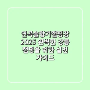 연곡솔향기캠핑장 2025: 완벽한 강릉 캠핑을 위한 실전 가이드
