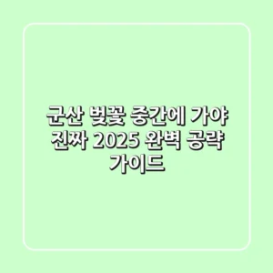 군산 벚꽃, '중간'에 가야 진짜! 2025 완벽 공략 가이드