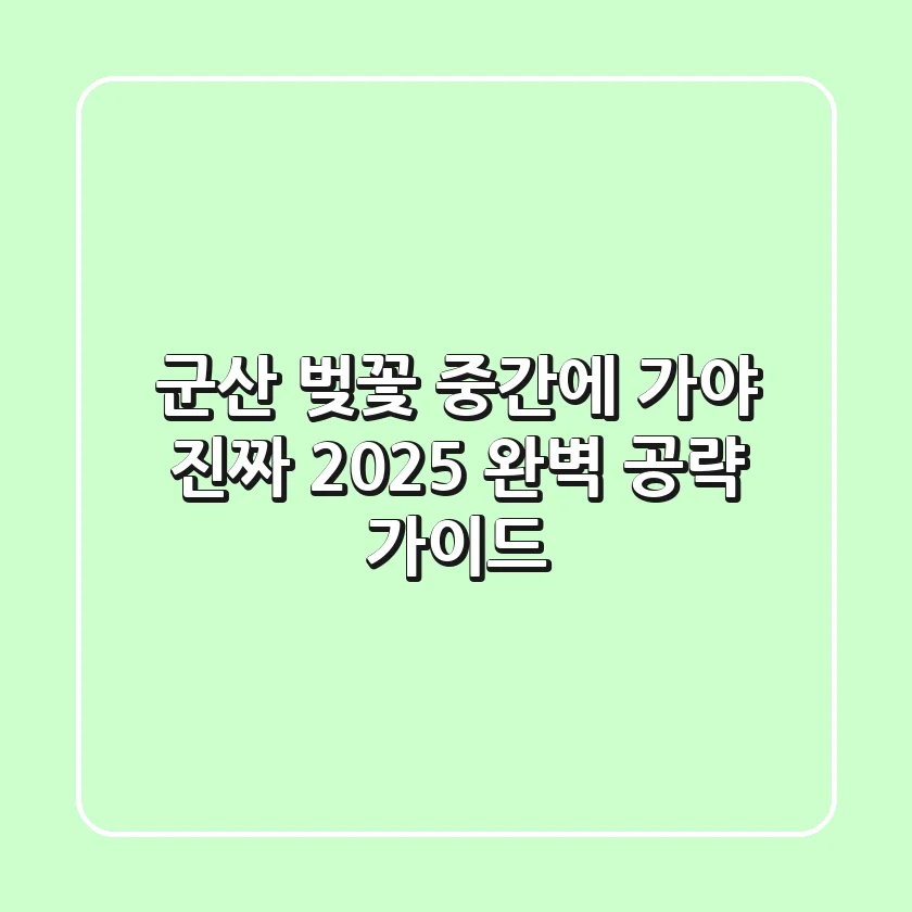 군산 벚꽃, '중간'에 가야 진짜! 2025 완벽 공략 가이드