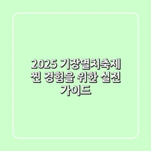 2025 기장멸치축제: 찐 경험을 위한 실전 가이드