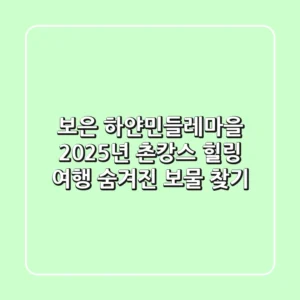 보은 하얀민들레마을: 2025년 촌캉스, 힐링 여행 숨겨진 보물 찾기