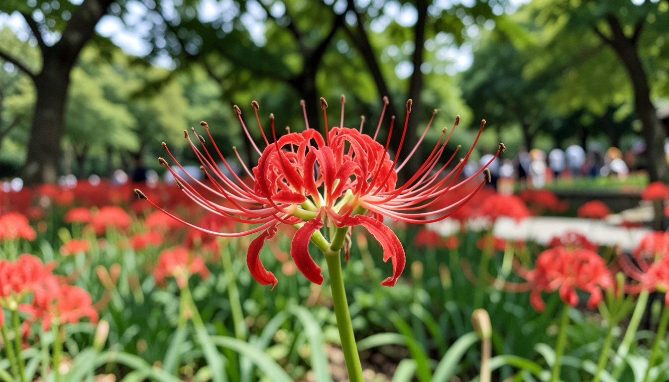 상림공원, 더 깊이 이해하는 역사와 문화적 가치 🌿