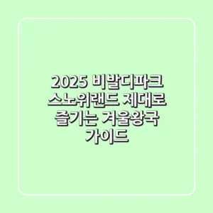 2025 비발디파크 스노위랜드, 제대로 즐기는 겨울왕국 가이드
