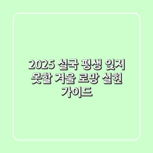 2025 설국: 평생 잊지 못할 겨울 로망 실현 가이드