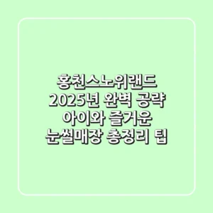 홍천스노위랜드 2025년 완벽 공략: 아이와 즐거운 눈썰매장 총정리 팁
